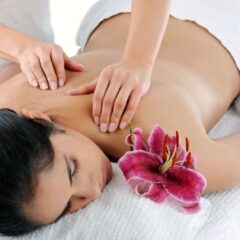 Aestheticandreconstructivyp